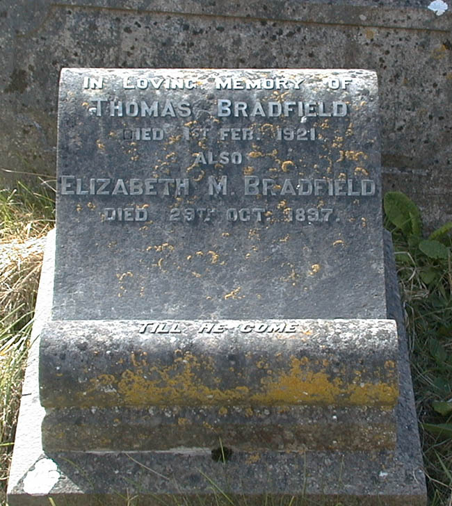 Bradfield, Thomas and Elizabeth.jpg 118.1K